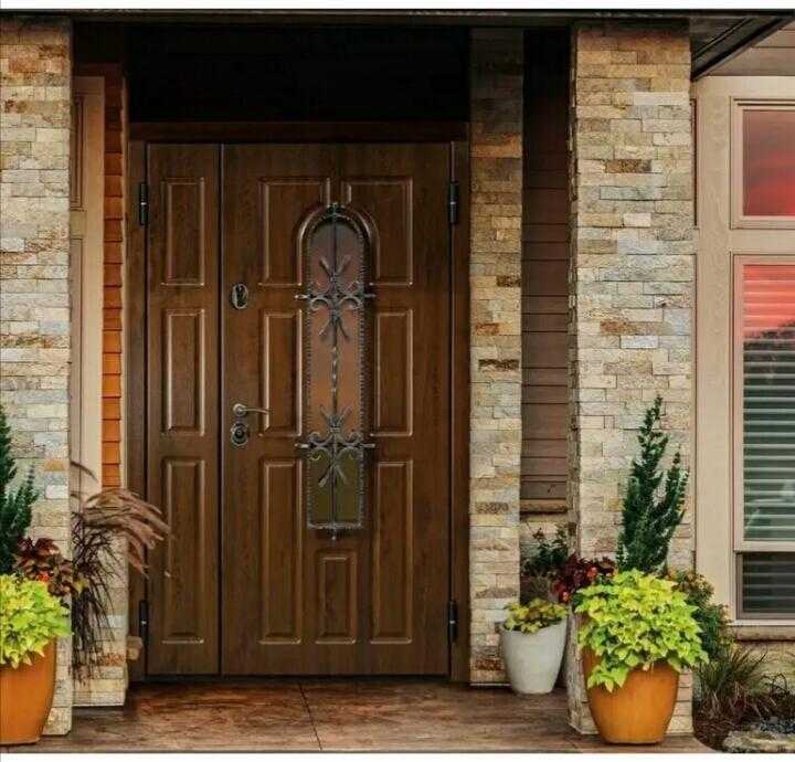 Пластиковые входные двери со стеклом, особенности применения для частного дома и квартиры