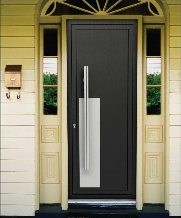 Стеклянная входная дверь: двойная алюминиевая в дом