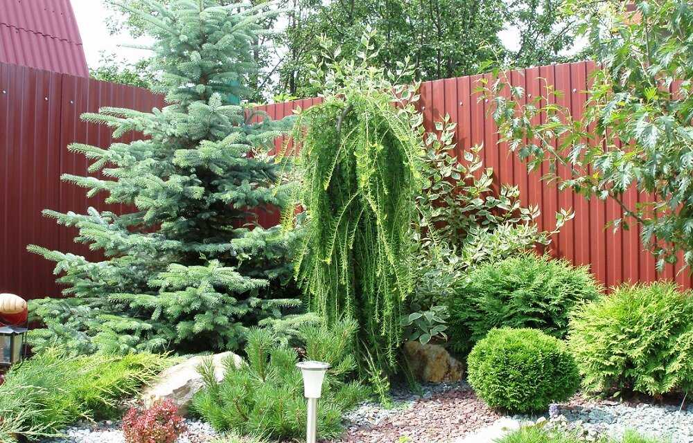 Ландшафтный дизайн сада (194 фото): оформляем участок с огородом на 6 сотках, с какими цветами сочетаются лилейники, красивые дворики с хвойными растениями